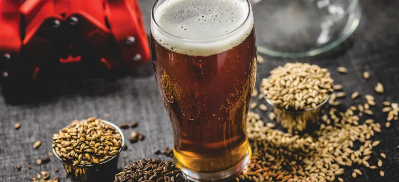  啤酒發(fā)酵過(guò)程大揭秘！vAPCI+CMS 聯(lián)用新技術(shù)如何快速捕捉風(fēng)味密碼？